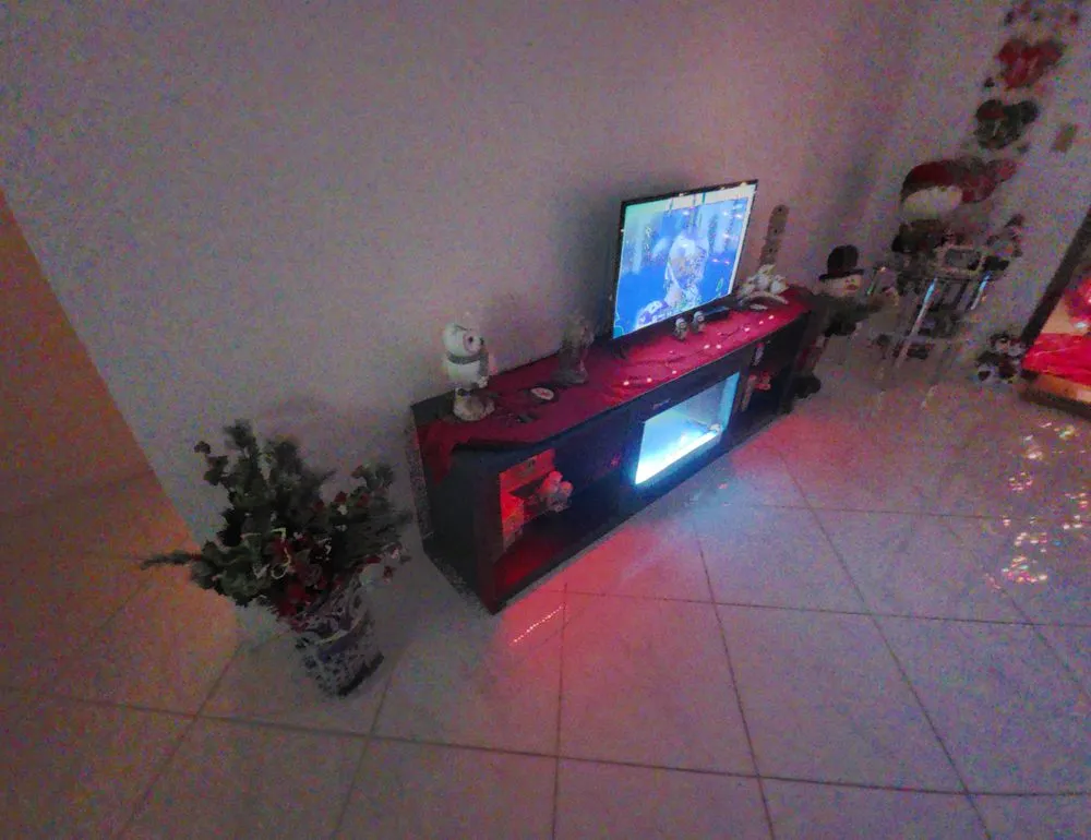 Affordable yard maintenance for homes in Haverhill, FL by Dc Land Care