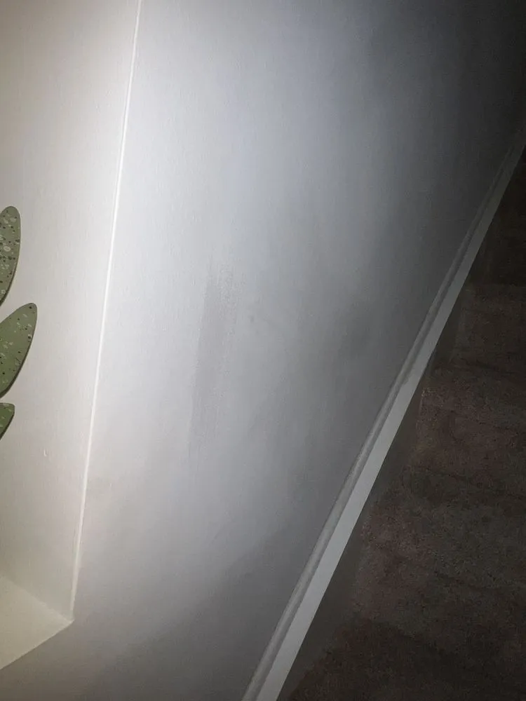 Professional landscaping services in Haverhill, FL by Dc Land Care