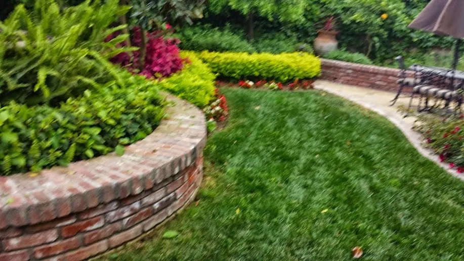 Local yard maintenance near you in Seal Beach, CA by DC Landscape & Construction