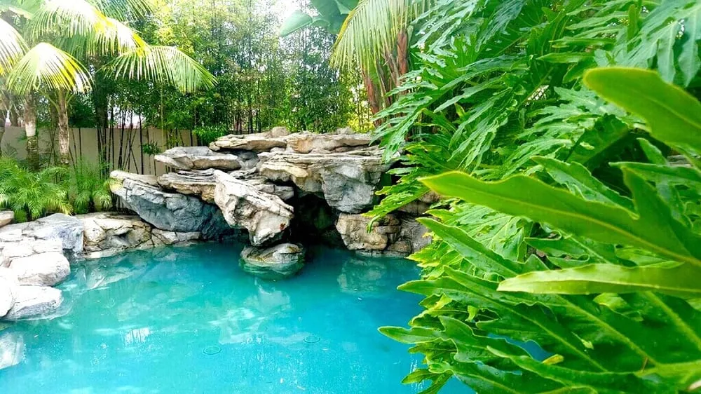 Local outdoor landscaping for year-round maintenance in Seal Beach, CA by DC Landscape & Construction