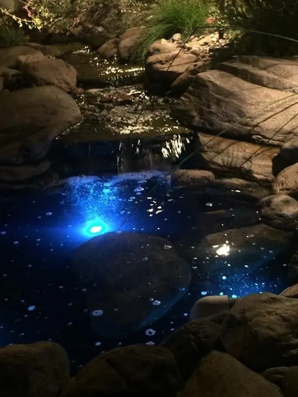 Professional landscape design in Seal Beach, CA - DC Landscape & Construction