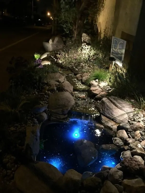 Expert garden landscaping for beautiful yards across Seal Beach, CA - DC Landscape & Construction