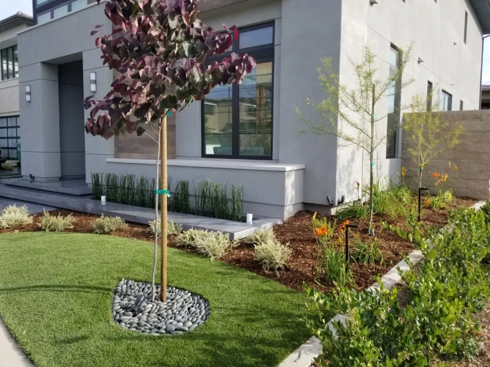 Expert landscape design for beautiful yards in Anaheim, CA by DC Landscape Design