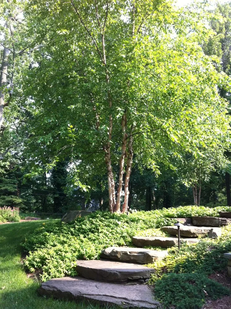 Professional residential landscaping near you in Edgewater, MD by DC Landscape Group