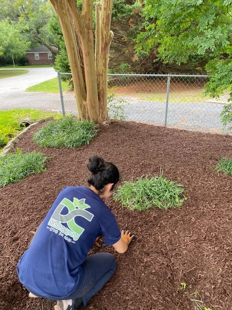 Reliable garden landscaping in Ladson, SC - DC Landscape