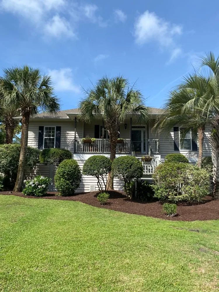 Trusted landscaping services for year-round maintenance across Ladson, SC - DC Landscape