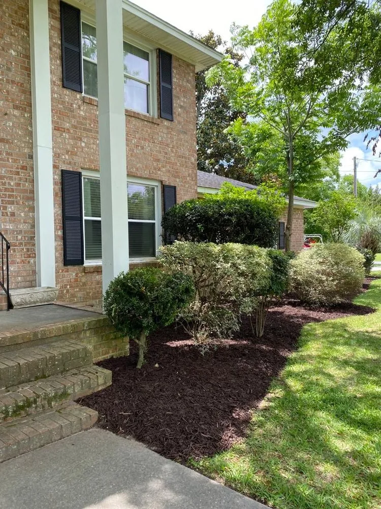 Top-rated landscape installation experts serving Ladson, SC - DC Landscape