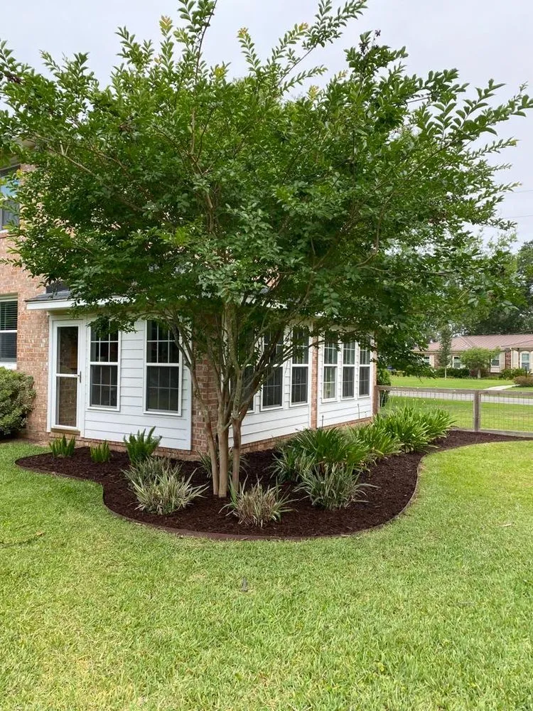 Top-rated landscape design for year-round maintenance in Ladson, SC by DC Landscape