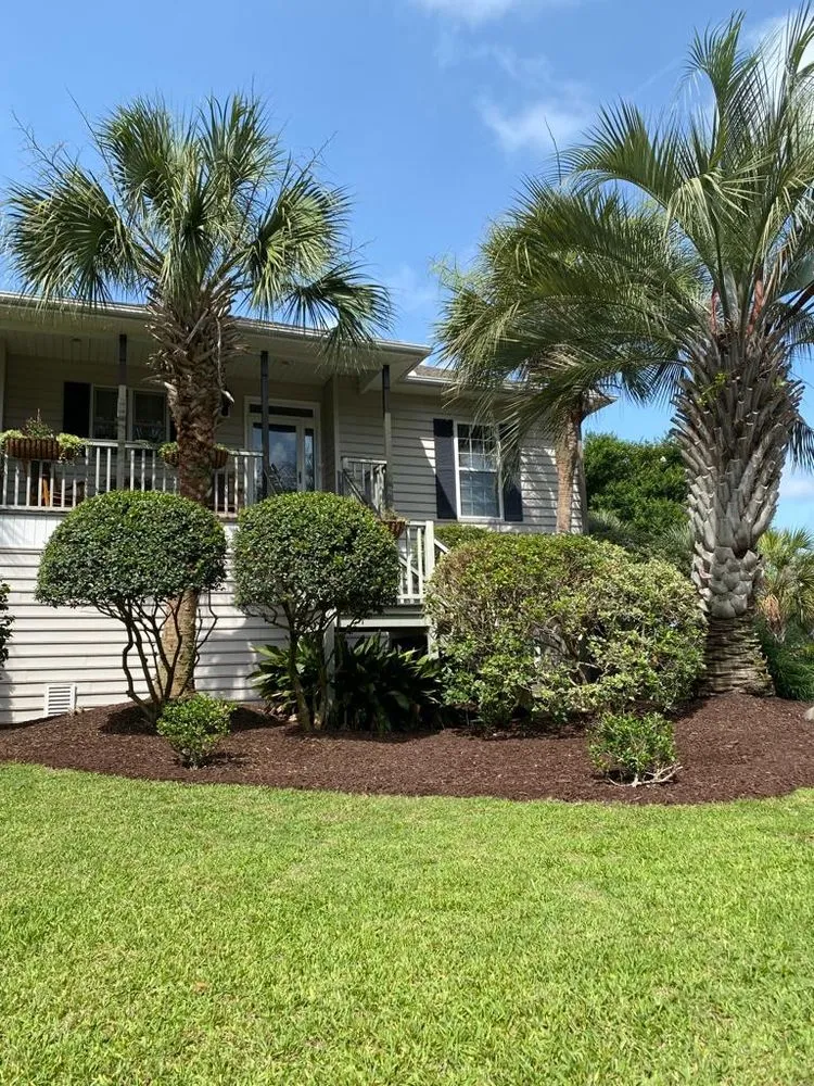 Expert yard cleanup service experts serving Ladson, SC - DC Landscape