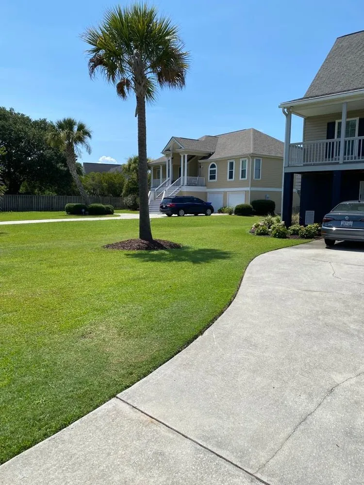 Top-rated yard cleanup service in Ladson, SC by DC Landscape