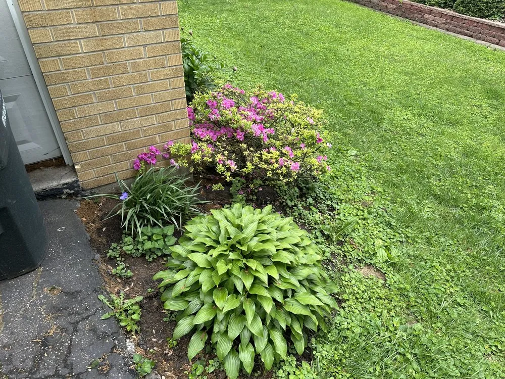 Affordable lawn care service experts serving Mount Orab, OH - D&C Landscape