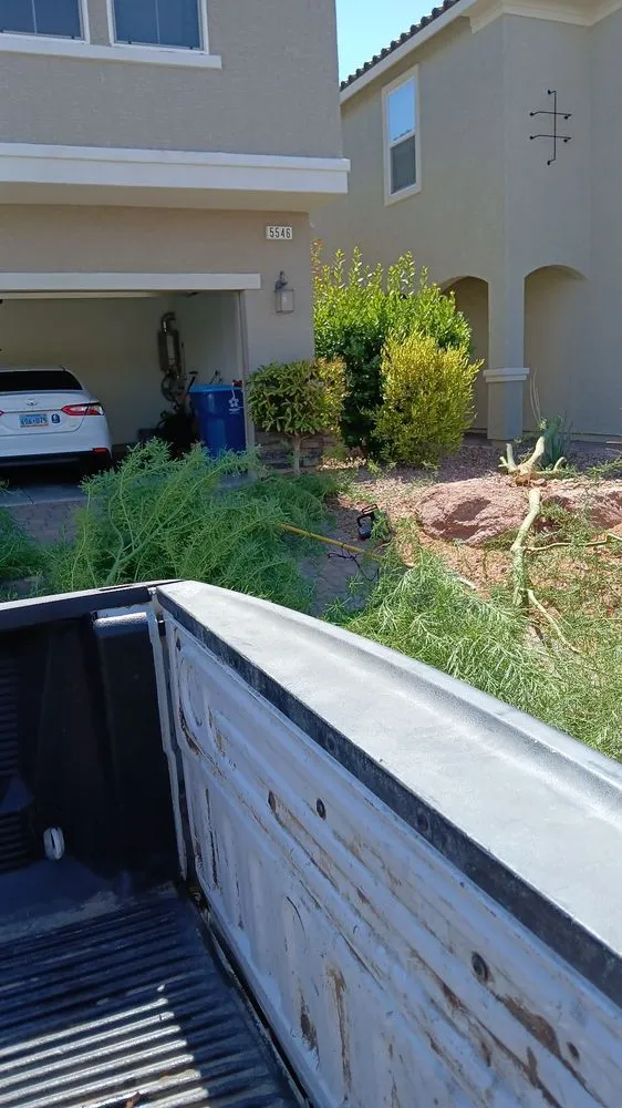 Affordable garden landscaping experts serving Tolleson, AZ - DC Landscape