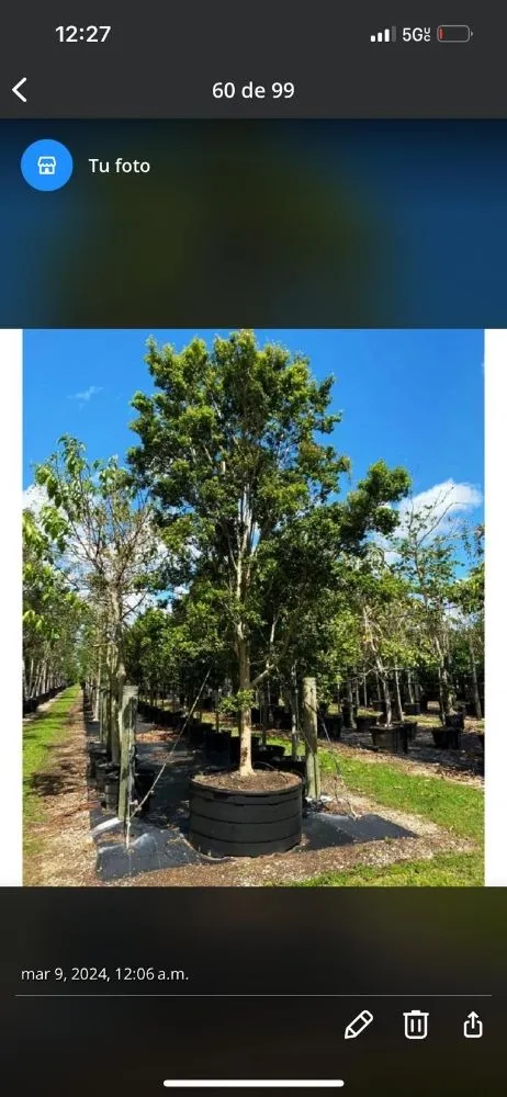 Top-rated residential landscaping in Tolleson, AZ by DC Landscape