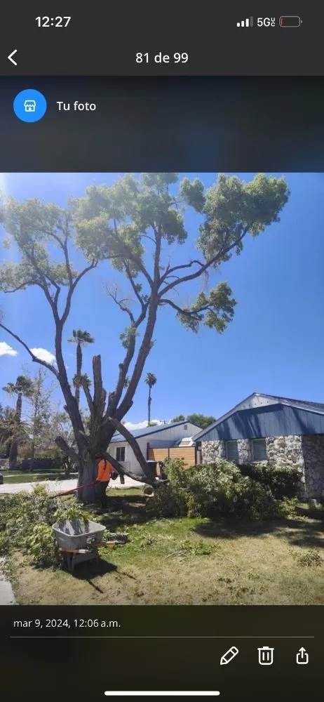 Top-rated yard maintenance in Tolleson, AZ by DC Landscape