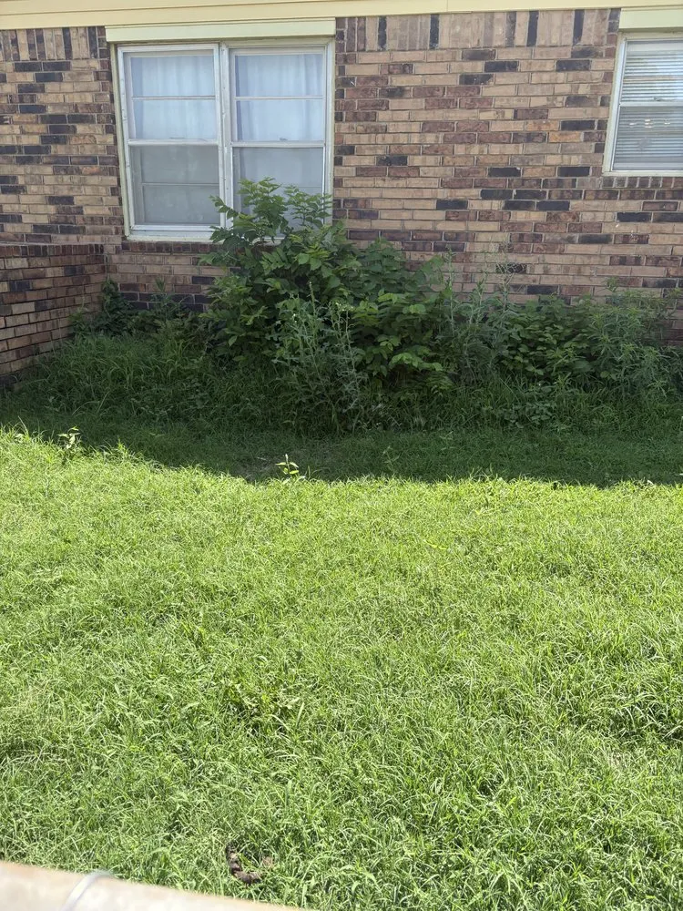 Custom landscaping services for outdoor upgrades across Oklahoma City, OK - DC Landscapes