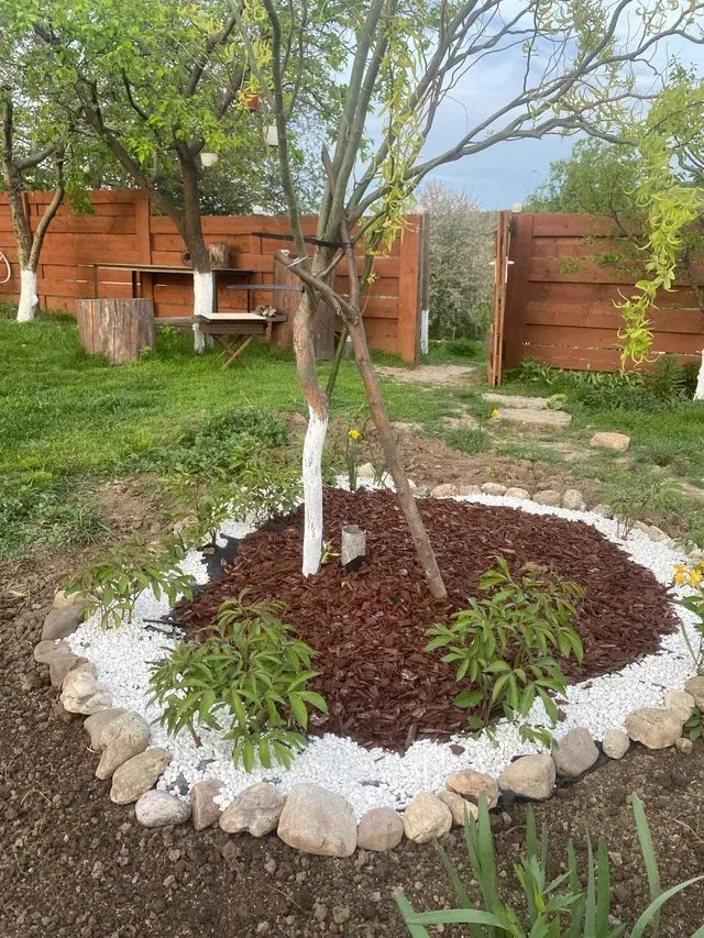 Expert outdoor landscaping in Oklahoma City, OK by DC Landscapes