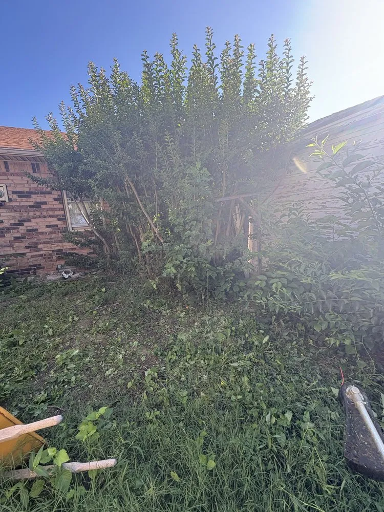 Local yard cleanup service for beautiful yards across Oklahoma City, OK - DC Landscapes