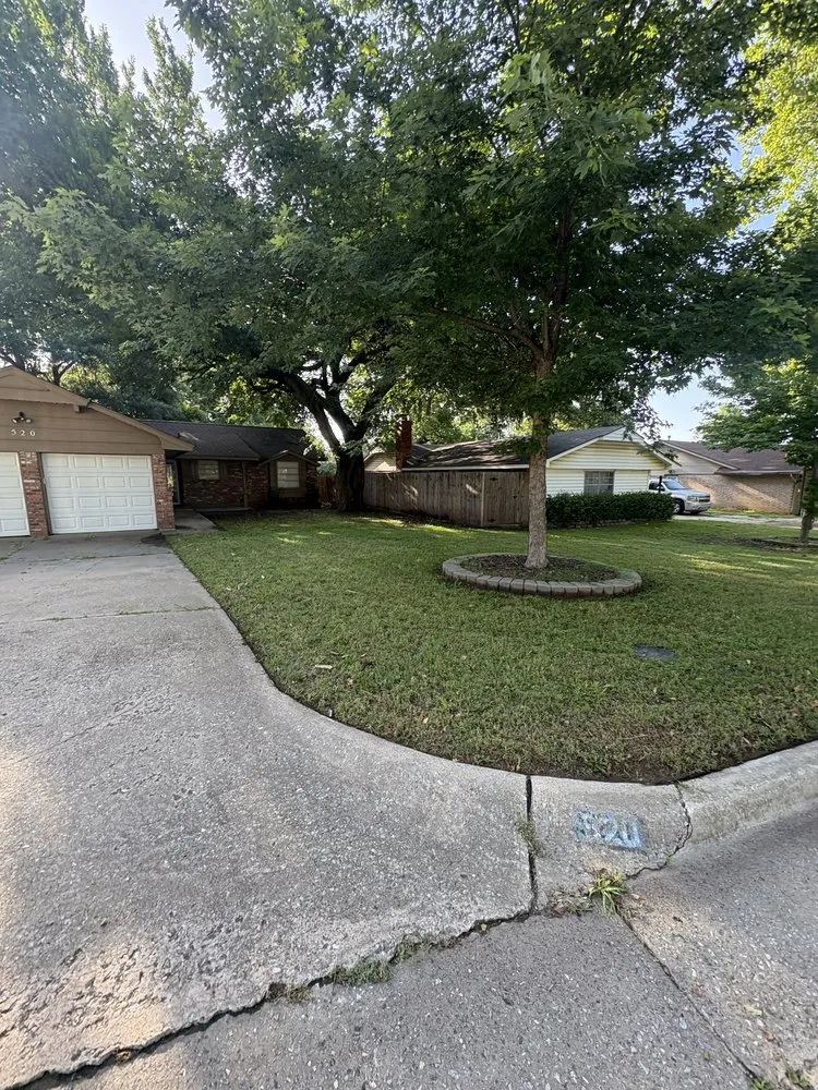 Trusted yard cleanup service in Oklahoma City, OK - DC Landscapes