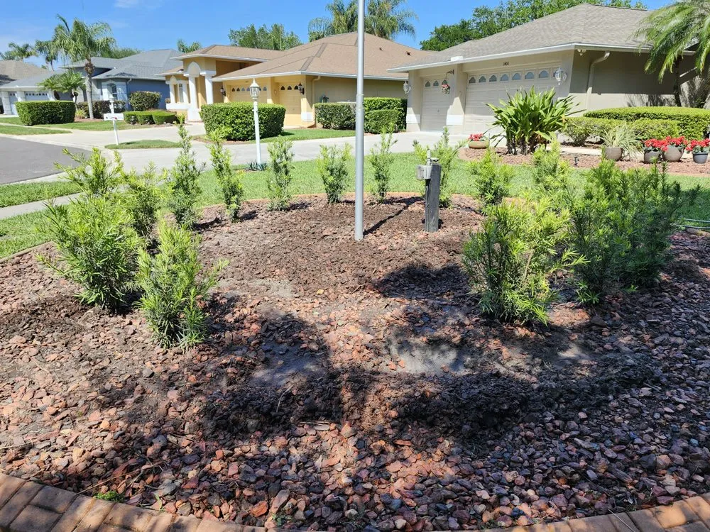 Reliable lawn mowing service experts serving NEW PRT RCHY, FL - DC Landscaping & More