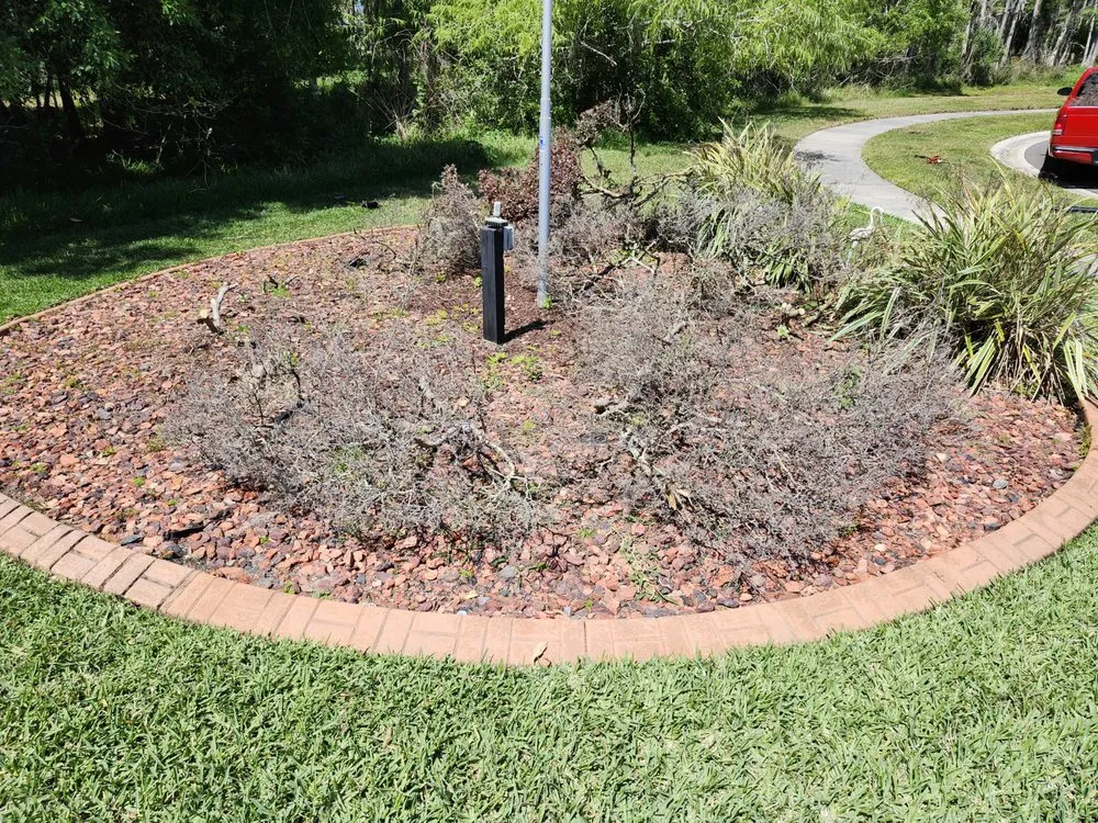 Local landscape installation for outdoor upgrades across NEW PRT RCHY, FL - DC Landscaping & More