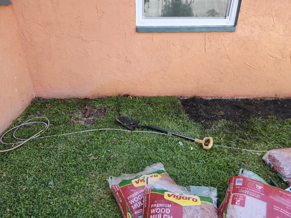 Professional yard cleanup service in NEW PRT RCHY, FL by DC Landscaping & More