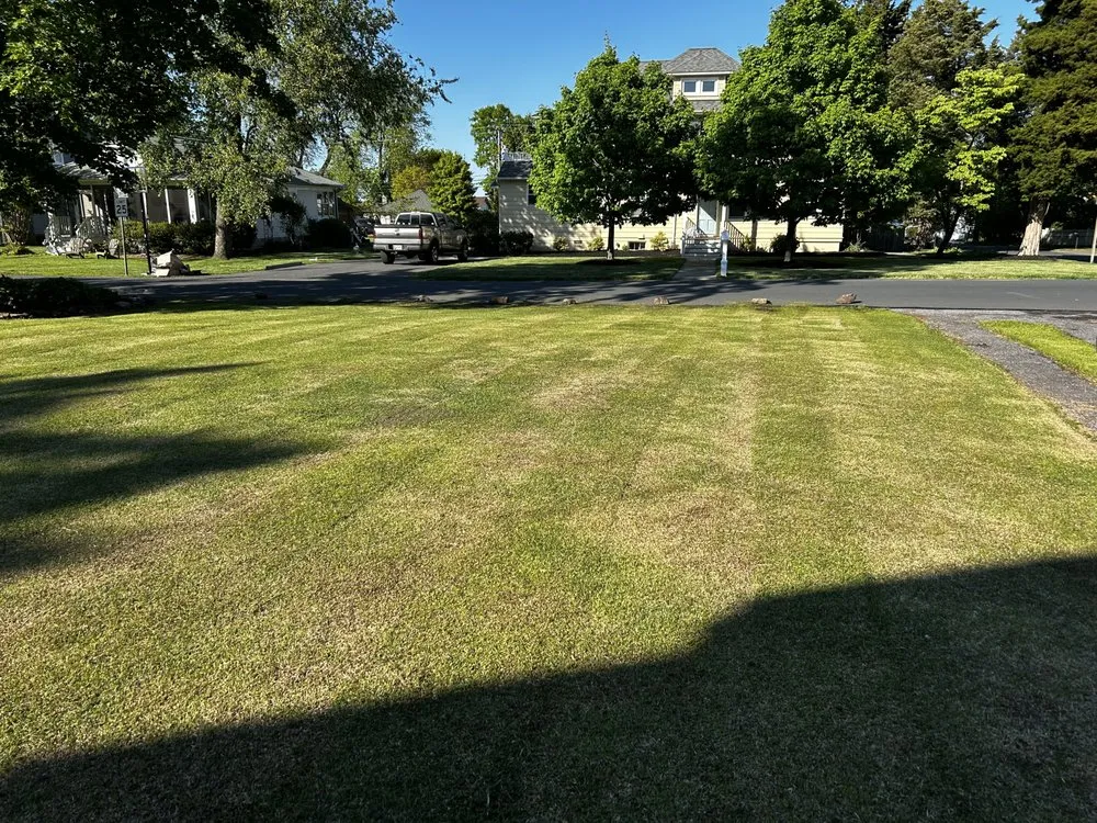 Expert yard cleanup service with custom design across Arnold, MD - D&C landscaping