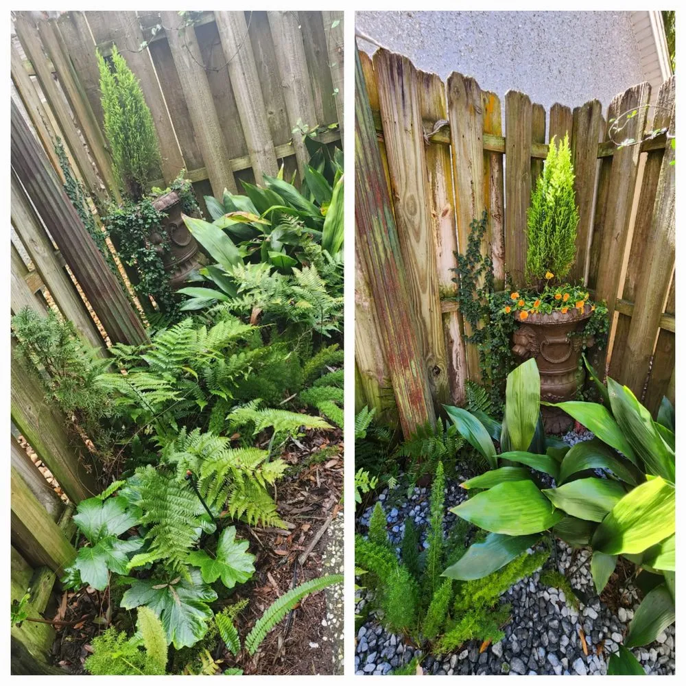 Professional yard maintenance in Brunswick, GA - DC Landscaping