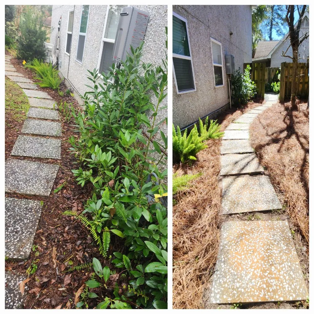 Top-rated lawn care service in Brunswick, GA - DC Landscaping