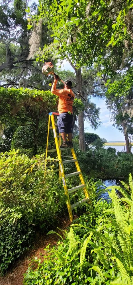 Expert lawn care service in Brunswick, GA by DC Landscaping