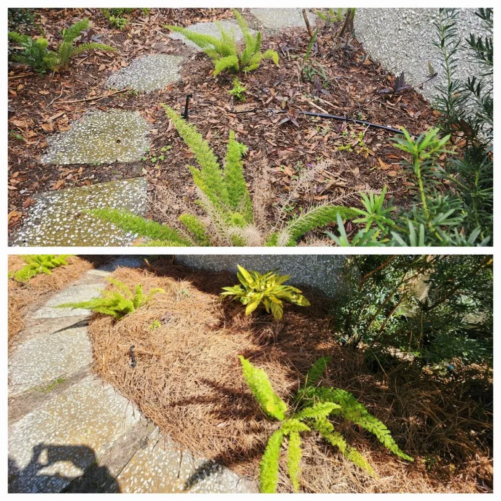 Trusted lawn care service in Brunswick, GA by DC Landscaping