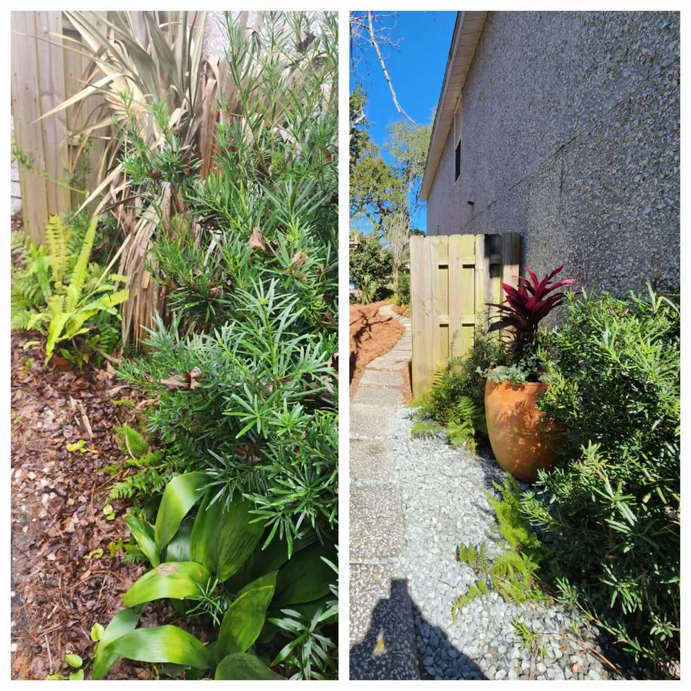 Trusted yard maintenance in Brunswick, GA - DC Landscaping