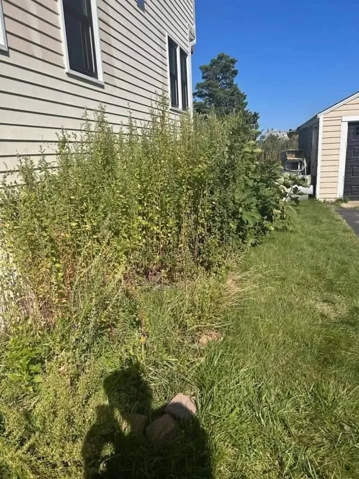 Top-rated landscape design in Burlington, MA - DC landscaping