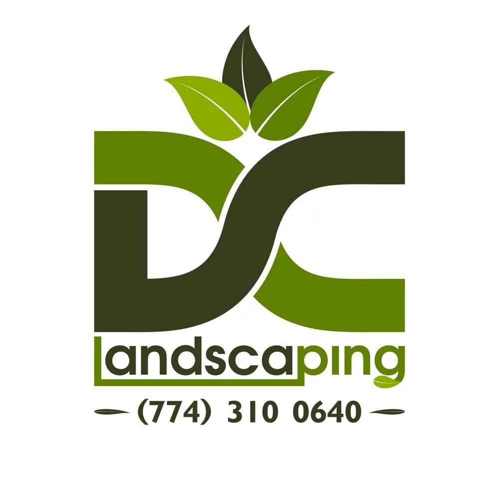 Top-rated yard maintenance in Charleston, SC - DC Landscaping