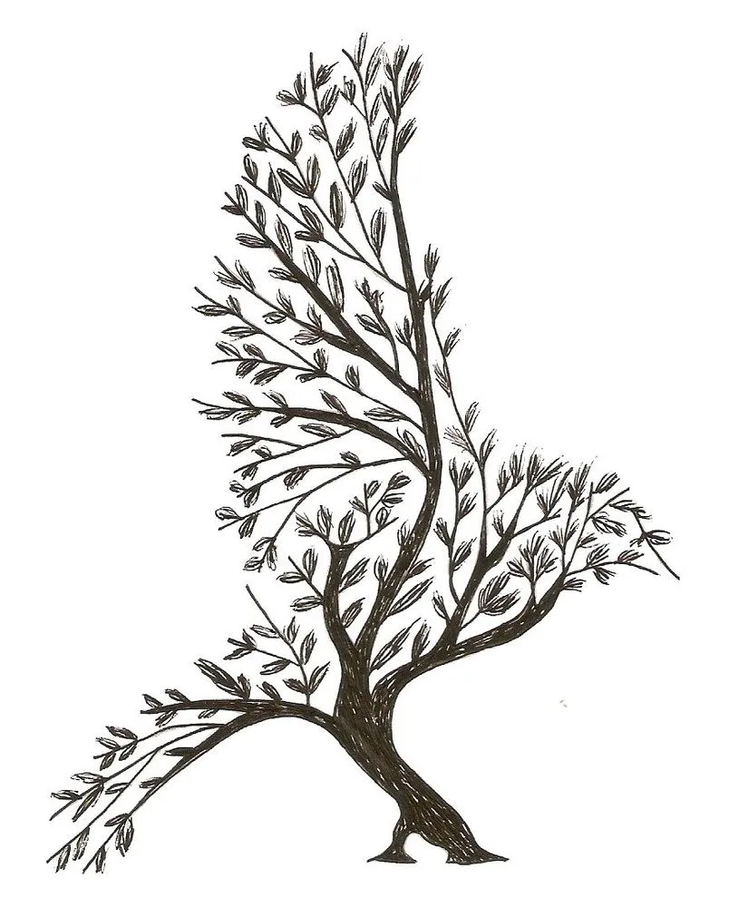 Affordable yard maintenance for year-round maintenance in Elkridge, MD by Dc Landscaping