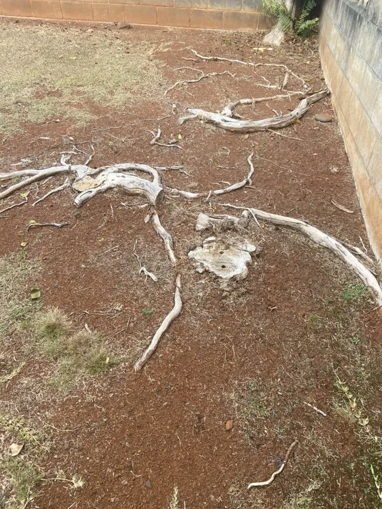 Custom garden landscaping in Mililani, HI - DC Landscaping