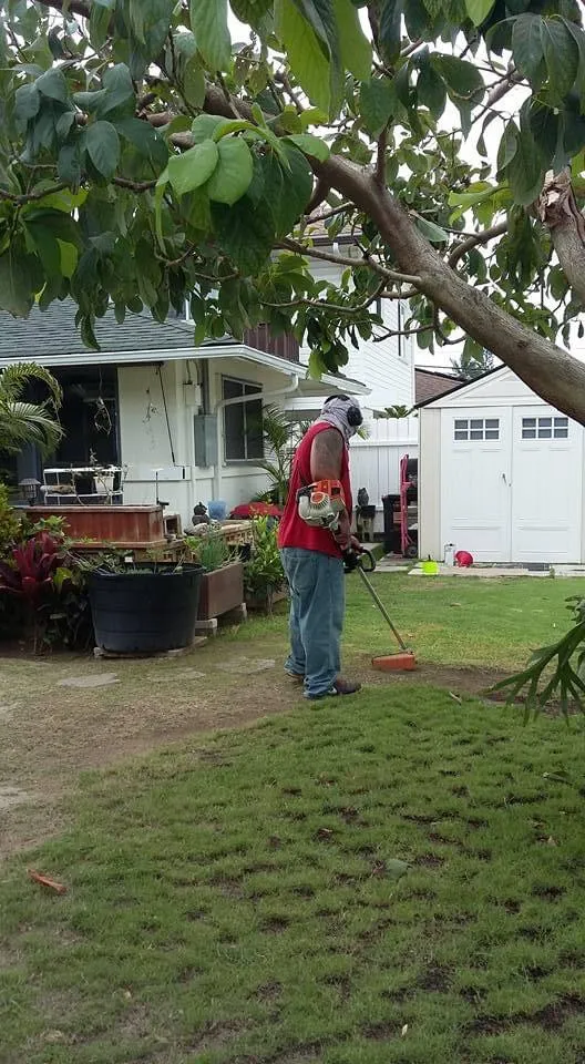 Top-rated garden landscaping in Mililani, HI - DC Landscaping