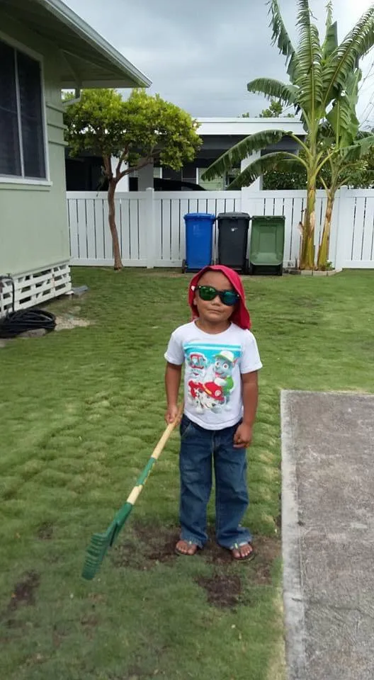 Affordable landscape installation in Mililani, HI by DC Landscaping