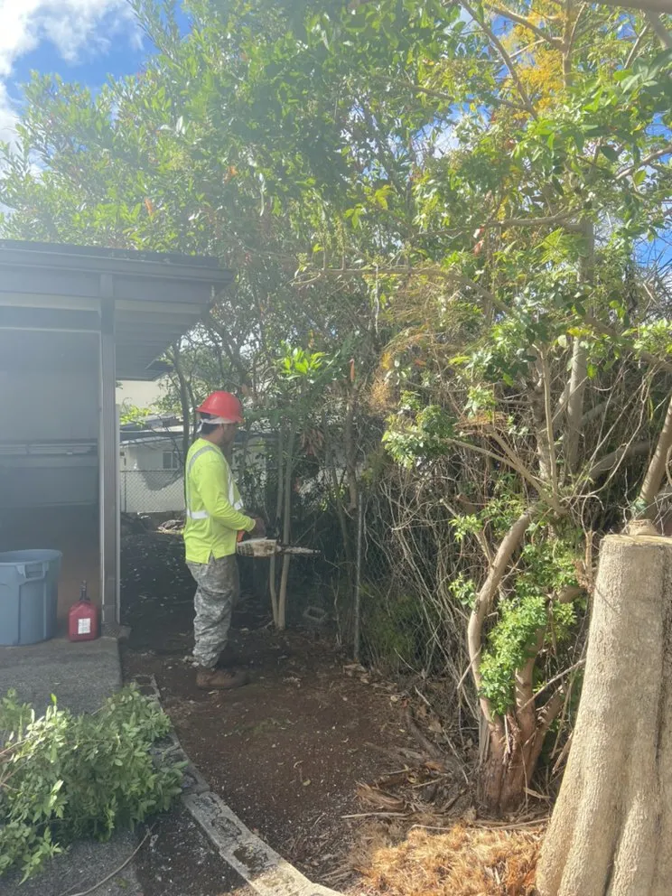 Expert outdoor landscaping in Mililani, HI - DC Landscaping