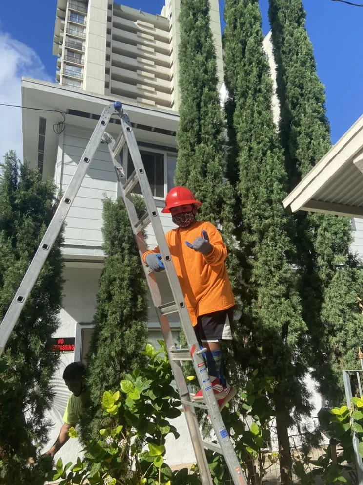 Local yard maintenance with custom design in Mililani, HI by DC Landscaping