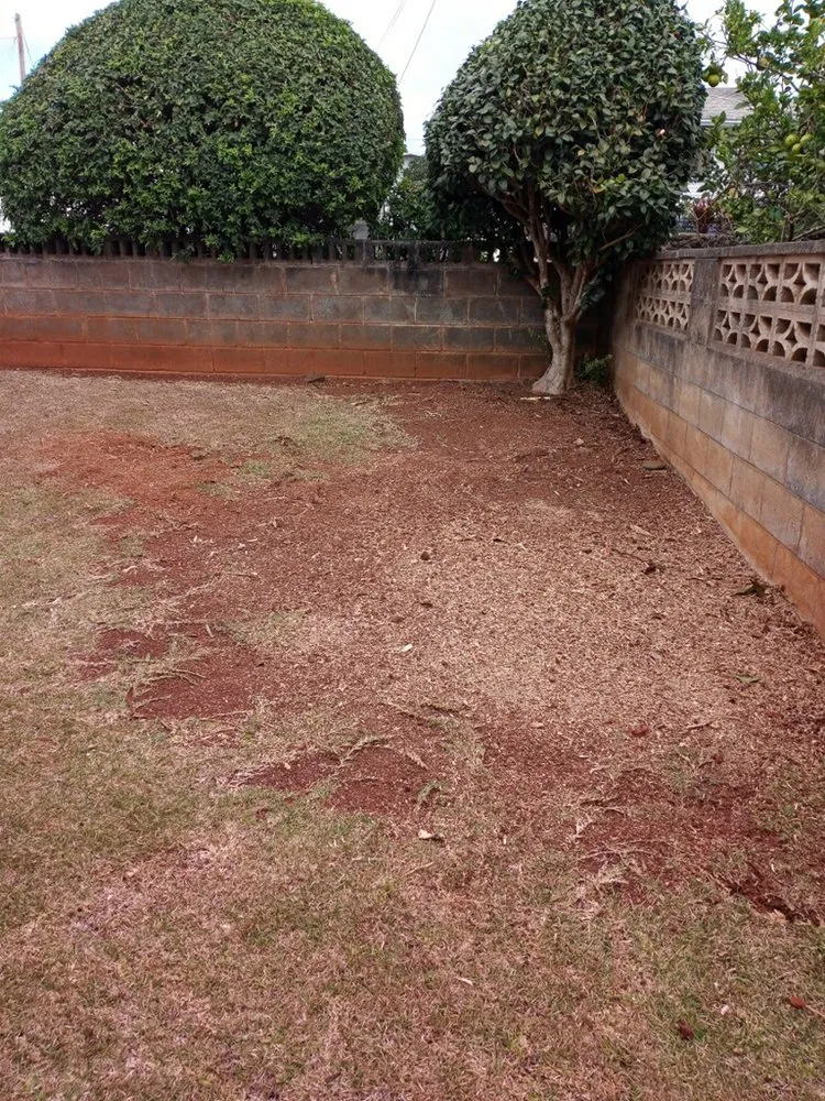 Professional yard maintenance in Mililani, HI by DC Landscaping