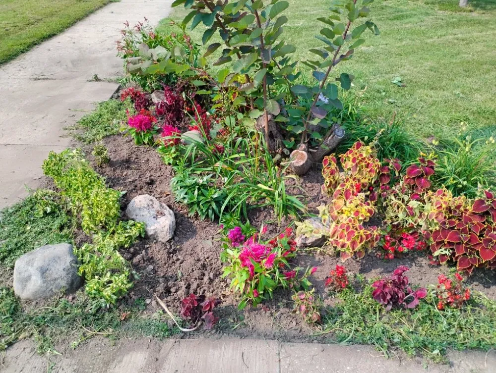 Expert residential landscaping for beautiful yards across Oshkosh, WI - DC Landscaping