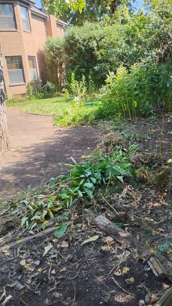 Top-rated lawn care service for year-round maintenance in Oshkosh, WI by DC Landscaping