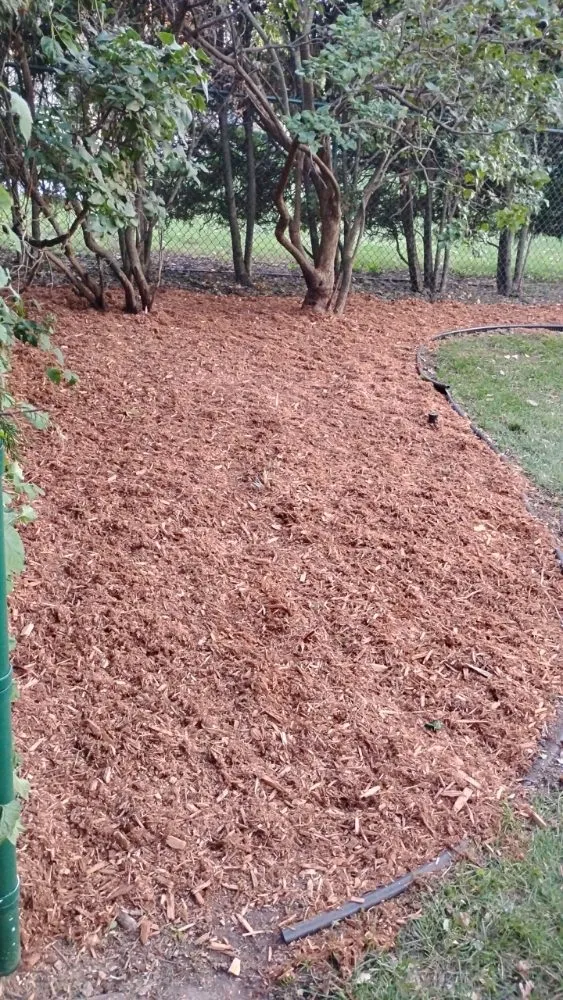 Reliable yard cleanup service in Oshkosh, WI by DC Landscaping