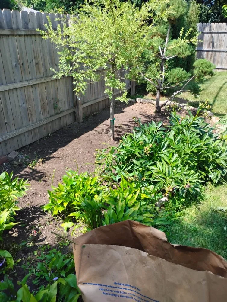 Affordable lawn care service for beautiful yards in Oshkosh, WI by DC Landscaping