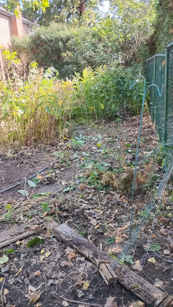 Trusted landscape installation in Oshkosh, WI - DC Landscaping