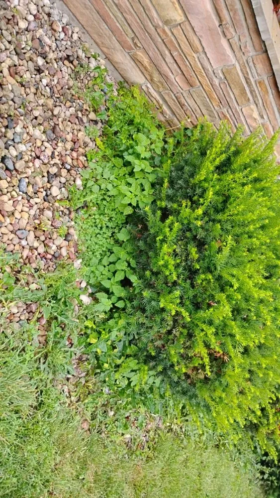 Reliable residential landscaping experts serving Oshkosh, WI - DC Landscaping