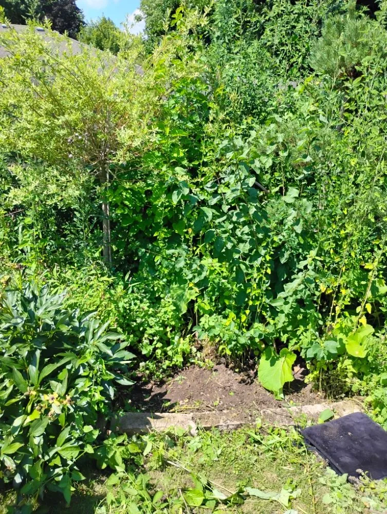 Trusted landscape installation in Oshkosh, WI by DC Landscaping