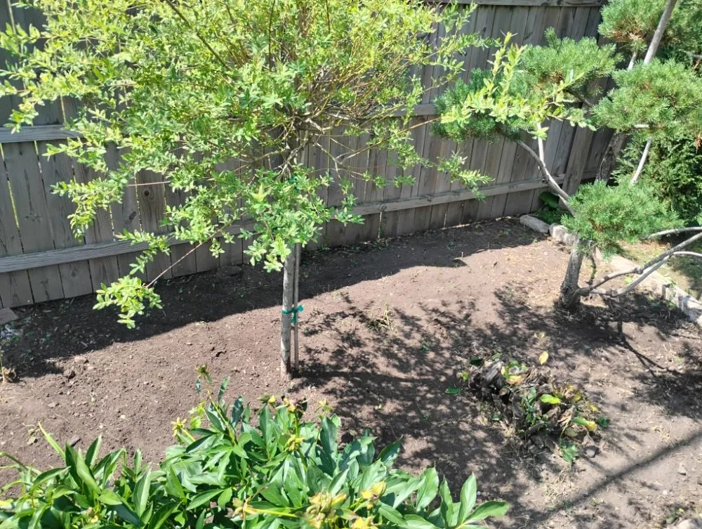 Local landscape installation in Oshkosh, WI - DC Landscaping