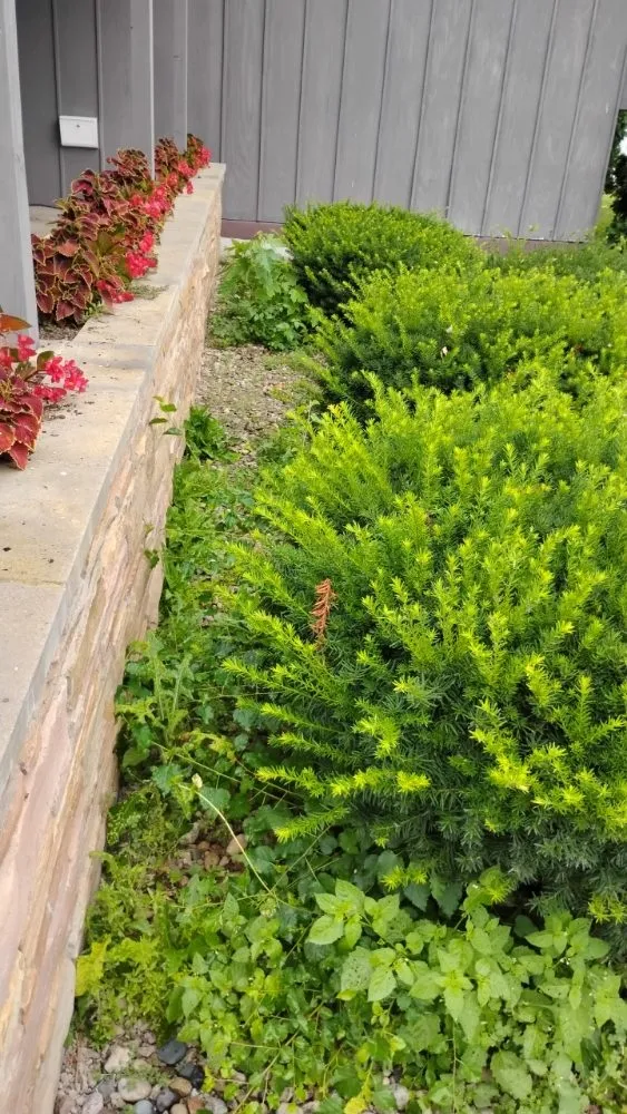 Custom landscape design for beautiful yards in Oshkosh, WI by DC Landscaping