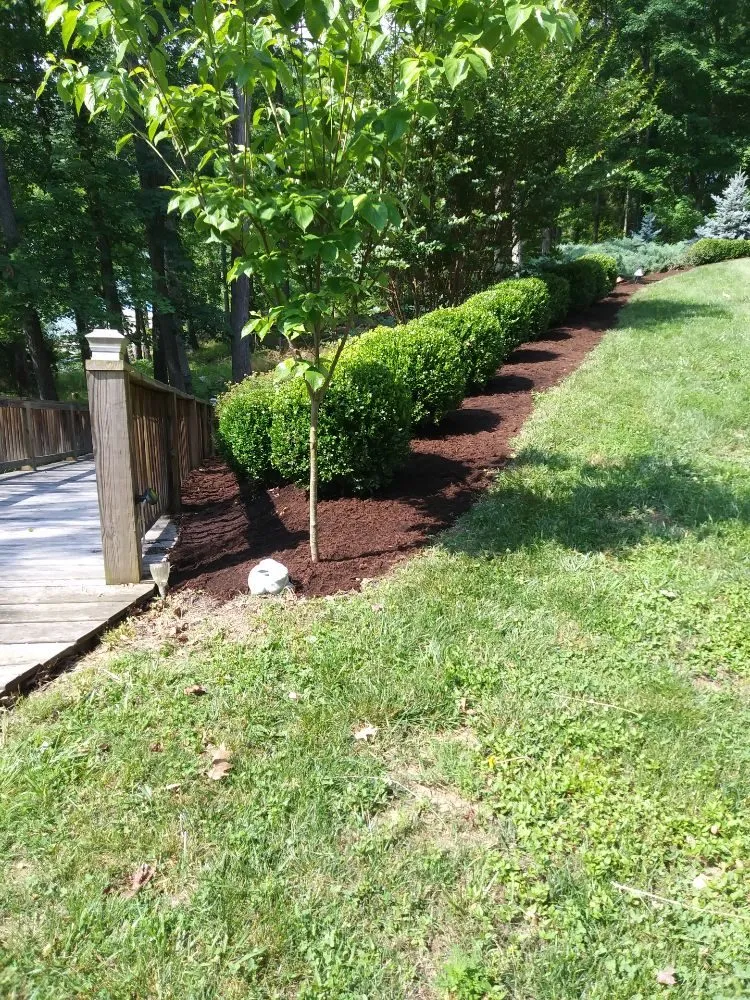 Top-rated outdoor landscaping experts serving Leitchfield, KY - DC Landscaping Services